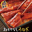 特大 うなぎ蒲焼 タレ山椒付 鹿児島県産 送料無料 おもてなしうなぎ 鰻 うなぎ ウナギ 蒲焼 蒲焼き 国産 送料無料 冷凍 ギフト 土用の丑の日 丑の日 御祝...