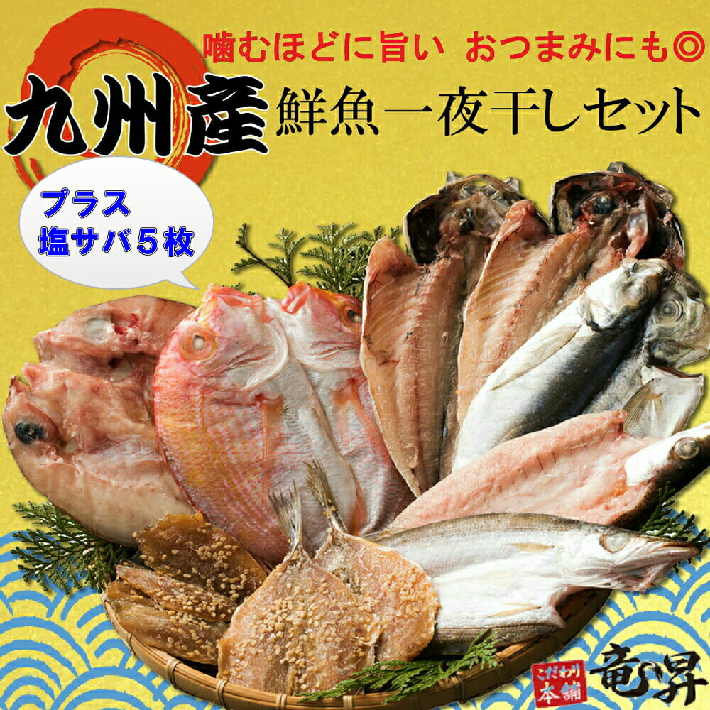 【父の日にも選ばれています♪】干物 塩サバ＆九州産鮮魚一夜干しセット 送料無料 【6種16食分】あじ 蓮子鯛 あじみりん干し 真鯛 かます 冷凍 ギフト 御祝 内祝 誕生日プレゼント 干物 干物セット 魚 海鮮 発送A 母の日 父の日 年賀 誕生日祝い 母の日 父の日