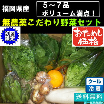 無農薬野菜5〜7品セット【珍しいラディッシュやルッコラも♪】【1品ずつ個包装】【送料無料：熨斗対応不可商品】3〜4人で約1週間分 御祝 内祝 誕生日 贈り物 プレゼント 朝食 お歳暮 発送E オマケきくいも