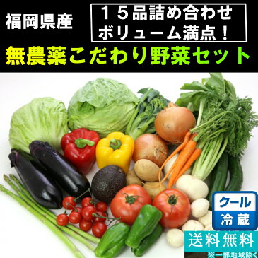 無農薬野菜15品セット【珍しいラディッシュやルッコラも♪】【1品ずつ個包装】【送料無料：熨斗対応不可商品】普通に食べて3〜4人で約2週間分 御祝 内祝 誕生日 贈り物 プレゼント 朝食 お歳暮 発送E オマケきくいも