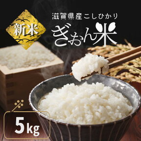 生活応援 増量 令和4年産 滋賀県産 こしひかり ぎおん米 コシヒカリ 送料無料 精米 6.5kg 一人暮らし 非常食 保存食 お米 精米 ご飯 白米 通販 近江 コメ プレゼント ライス うまい 本当に 美味しい おいしがうれしが db