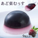 滋賀 お土産 あど菓むぅす 9個 母の日 スイーツ ムース ゼリー ラズベリー ブルーベリー より希少価値の高い 滋賀県の新特産品 アドベリー お花見 贈り物 ...