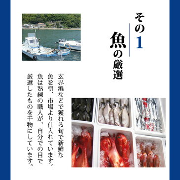 ご自宅で楽し 本格 一夜干し 魚 4500円 酒の肴 セット 旬 父の日 ギフト プレゼント 贈り物 おつまみ 干物 のし 新鮮 産直 お歳暮 御歳暮 お中元 御中元 御年賀 お年賀 お土産 残暑 美味しい おかず ギフト 福岡 肉厚 ジューシー STAY HOME ステイホーム 自粛 外出