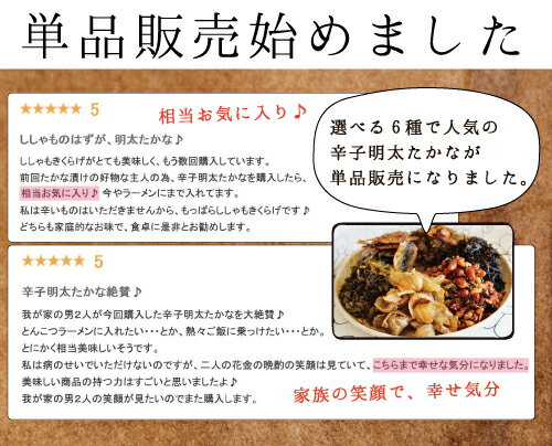 辛子明太 高菜 120g×2袋 福岡県産 高菜 たかな 100％使用 国産 ご飯のお供 お茶漬け ラーメン 酒の肴 贈り物 おにぎり お試し からし高菜 辛子たかな 博多 送料無料 安心 安全