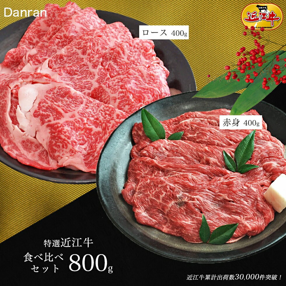 肉セット 近江牛 特選 食べ比べセット 800g 赤身400g ロース400g すき焼き しゃぶしゃぶ 土用の丑の日 土用の丑 土用 ギフト対応 のし対応無料 お中元 お祝い 出産祝い 内祝い 就職祝い 結婚祝い コンペ景品 new 母の日 おいしがうれしが db