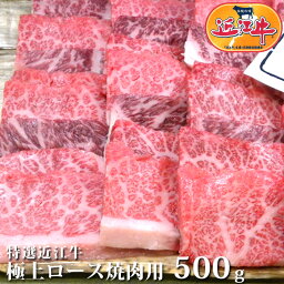 送料無料 近江牛 極上 ロース 焼肉 用 500g松阪牛 神戸牛 と並ぶ 国産 黒毛和牛 滋賀県！国産牛 牛 牛肉 肉 お土産　ギフト 送料無料 お祝い 高級 霜降り とろける アウトドア レジャー 食欲の秋 おいしがうれしが db