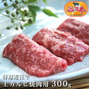 近江牛 上カルビ 焼肉 用 300g 母の日 お取り寄せ グルメ 産地直送お歳暮 お中元 送料無料 滋賀県 国産牛 黒毛和牛 牛肉 ギフト プレゼント のし 熨斗 お祝い アウトドア レジャー 食欲の秋 高級 霜降り とろける 和牛 牛肉 滋賀 お土産 琵琶湖 おいしがうれしが db