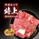 特選 近江牛特上焼き肉用 300g 600g 1kg 高級 ギフト 近江牛 焼肉 認定牛 送料無料 土用の丑の日 土用 国産 黒毛和牛 滋賀県 プレゼント ギフト 祝 あす楽 極上 和牛 お礼 グルメお店 味 御中…