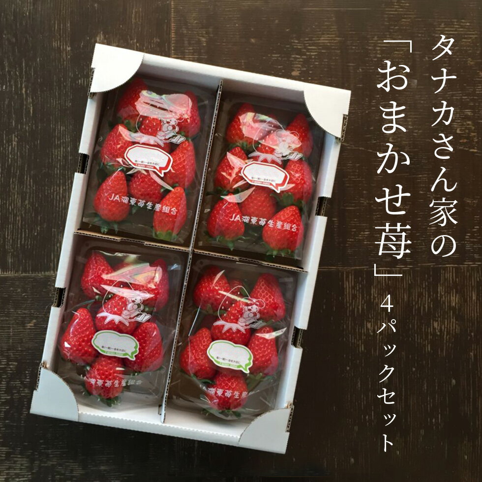 いちご 滋賀県産 産地直送 採れたて 朝採れ バレンタイン イチゴ 農家さん おまかせ 4パックセット ひな祭り 雛祭り バレンタインデー 送料無料 プレゼント ギフト おいしがうれしが new db