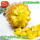 沖縄県 東村産 あまさん スナックパイン 産地直送 ボゴール 甘みが強く 酸味まろやか 香り高い 希少な国産パイン