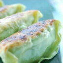 【送料無料】琉民民 ゴーヤー餃子(20g×12)×5個【老舗 人気ぎょうざ 沖縄県産ゴーヤ おつまみ】