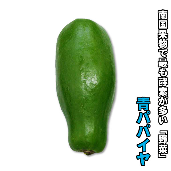 沖縄県産青パパイヤ1個（350g〜500g）（写真の物と形が同じものが送られるとは限りません。種類が異なる場合があります。） 1