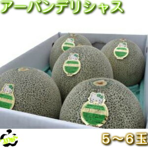 【贈答品】アーバンデリシャスメロン　約8kg入り（5〜6玉）」7000円【送料込み】のサムネイル