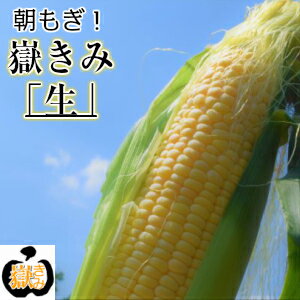 【令和3年度産】嶽きみ（恵味種）とうもろこし　6本入り　3780円【送料込み】朝もぎ　新物のサムネイル