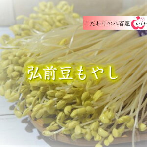 弘前豆もやし ファミリーパック5束入り 3000円【送料込み】