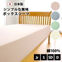 綿100% お買い得 ボックスシーツ セミシングル シングル セミダブル ダブル 91×200×28 100×200×25 120×200×25 140×200...