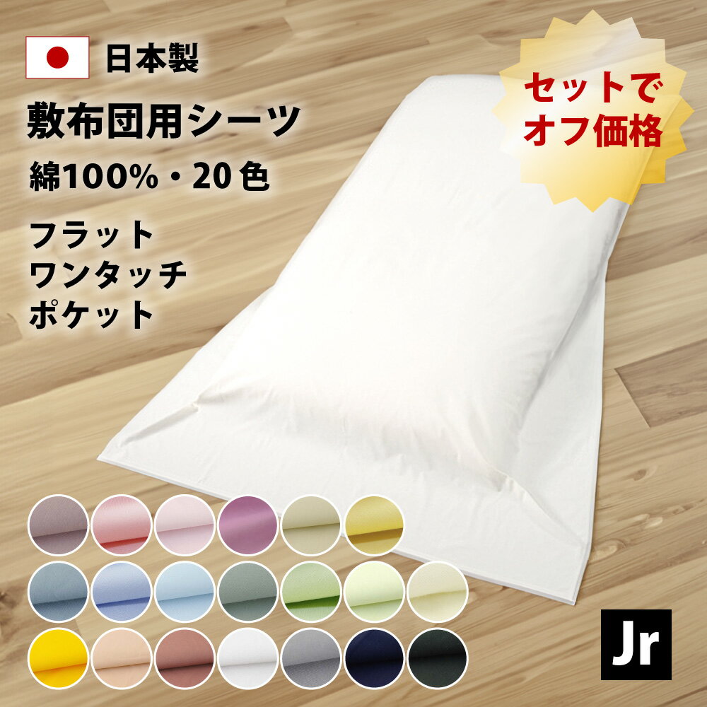 2枚セット オフ価格 20色 フラットシ