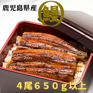 【父の日】鹿児島県産 有頭 腹開き 鰻 (計650g以上 / 165g以上×4尾) うなぎ 鰻 ウナギ 4尾 国産 九州産 蒲焼き かばやき 冷凍 うな重 ひつまぶし タレ 山椒 ランキング 人気