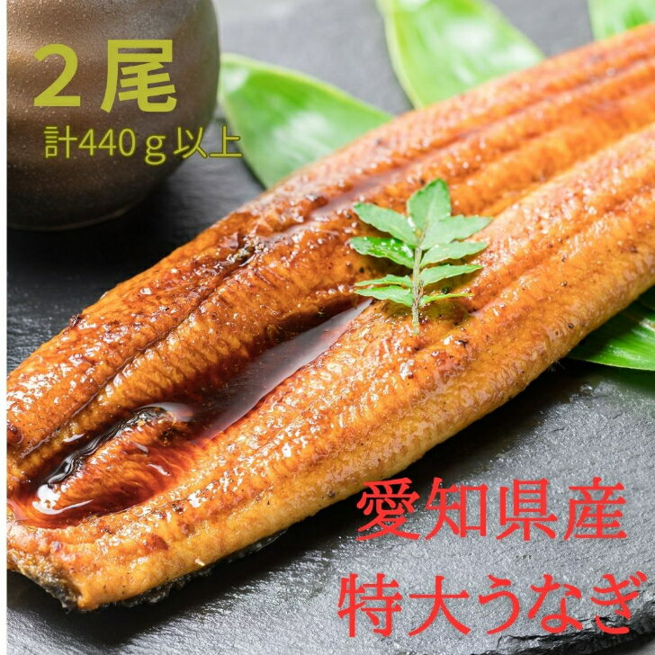 【父の日】愛知県産 有頭　腹開き 鰻 (計440g以上 / 250g以上×2尾) うなぎ 鰻 ウナギ 2尾 国産 東海産 蒲焼き かばやき 冷凍 うな重 ひつまぶし タレ 山椒 ランキング 人気