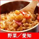 【釜付セット】全国名選陶器本釜めし(野菜/愛知)