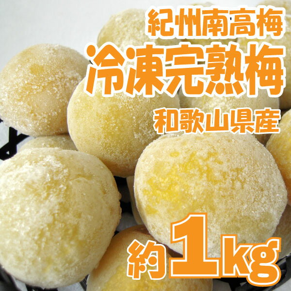 紀州南高梅 冷凍完熟梅 約1kg(大玉2L～4L) 青梅 産