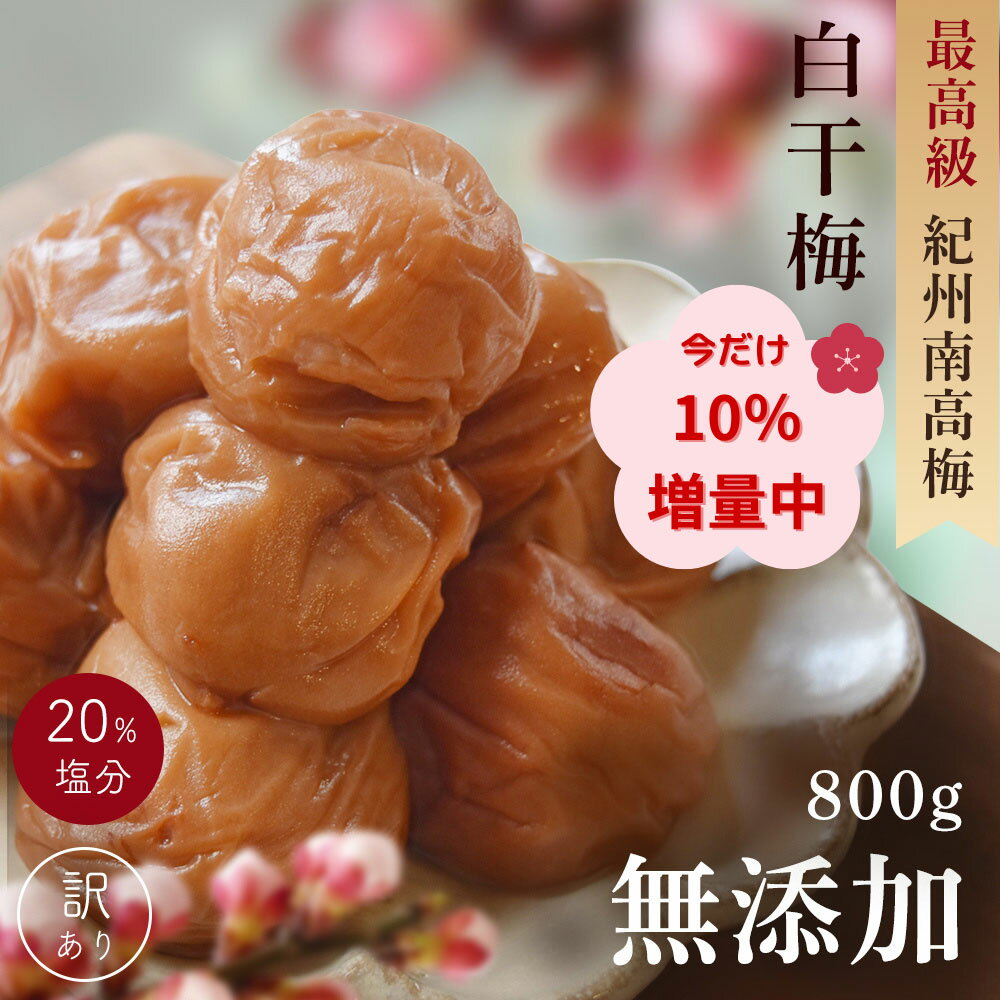 \今だけ10%増量中/無添加 梅干し紀州南高梅のつぶれ梅 白干梅440g×2パック(合計880g) 送料無料 訳あり 昔懐かし すっぱい梅干 塩梅 熱中症 予防