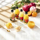 お中元 ホシフルーツ ご馳走果実ジュース&凍らせて食べるシャーベット(送料無料) 熨斗 ギフト 贈答 残暑見舞 御礼