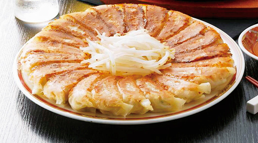 お歳暮 静岡B級グルメ浜松餃子45粒 贈答 ギフト（送料無料）