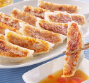 九条葱餃子とスタミナ餃子セット 贈答 ギフト(送料無料)