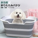 ソフトタブ ワイド 折りたたみ 送料無料 バスタブ 洗濯たらい おりたたみバケツ ベビーバス 赤ちゃん お風呂 ペットバス 洗濯カゴ ランドリーバスケット バス...