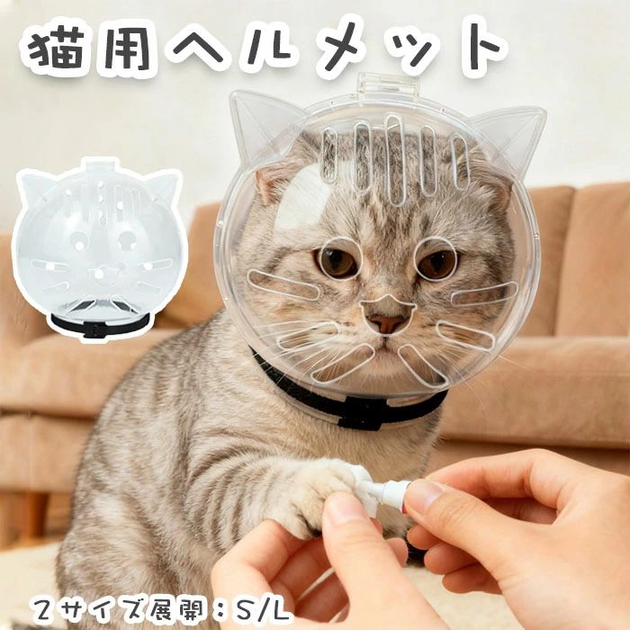 cqml-cat176.jpg