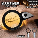 30倍 高倍率 拡大鏡 LEDライト付き 30倍 虫眼鏡 ルーペ 高倍率 見やすい 拡大レンズ 調光3段階 ルーペ 手持ちルーペ 12個LEDライト付 読書ルー...