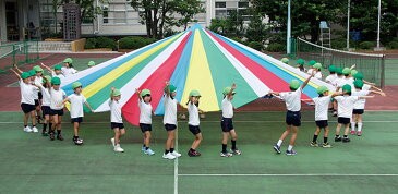 プレイバルーン5色5m パラバルーン プレイパラシュート 保育園 保育所 幼稚園 運動会 ダンス イベント CD付き 収納バッグ付き 集団演技 大技 表現方法 導入 ねらい 幼児 園児 楽しい 大人 演目 お遊戯会 曲 運動用品 華 リトミック