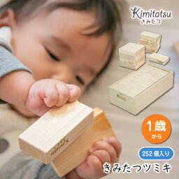 木のおもちゃ 知育玩具 積木 積み木 つみき きみたつツミキ | 252個入り 1才から 遊び 木製 型はめ パズル ブロック ままごと 図形遊び 見立て 出産祝い 幼児 ギフト オモチャ 誕生日 子供 こども 小学生 女の子 男の子 入学 入園 木工玩具 お祝い 贈り物 脳トレ kmt008-2