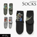 100円ぽっきり2022春【ampersand/アンパサンド】男児 恐竜柄 ソックス≪10-12cm 13-15cm 16-18cm 19-21cm≫キッズ ベ...