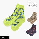 100円ぽっきり2022秋冬【ampersand/アンパサンド】ゆるきょうりゅう ソックス≪10-12cm 13-15cm 16-18cm 19-21cm≫キッ...