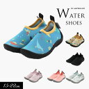 <50%OFF>2023夏t【ampersand/アンパサンド】アクア シューズ≪15cm 16cm 17cm 18cm 19cm 20cm 21cm 22cm...