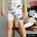 <40%OFF>2024夏【BIT'Z/ビッツ】サメ図鑑 総柄 ボクサー水着_UVカット≪80cm 90cm 100cm 110cm 120cm 130cm≫子...