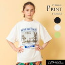 <40%OFF>2024夏【BREEZE/ブリーズ】WEB限定_ジュニア 転写プリント Tシャツ≪120cm 130cm 140cm 150cm 160cm≫子...