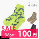 100円ぽっきり2022秋冬【ampersand/アンパサンド】ゆるきょうりゅう ソックス≪10-12cm 13-15cm 16-18cm 19-21cm≫キッ...