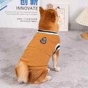 犬用 中型 小型 2本足服 Vネック セーター カレッジスタイル プレッピーセーター 防寒着 子犬 大型犬 かわいい ハンサム ペット 秋服 冬服 カジュアル コート アウター お揃い 散歩 愛犬 防風 厚着 暖かい 保温 お洒落 ドッグカフェ お出かけ