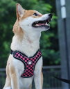 ペット用品 犬 ハーネス リード ストラップ チェッカーフラッグ 柄入り 軽量 丈夫 小型犬 中型犬 大型犬 おしゃれ かわいい 個性派 ロック パンク モノト...
