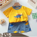 【 送料無料 】セール 1500円→680円 子供服 夏服 恐竜 Tシャツ 男の子 女の子 子ども服 キッズ 夏物 半袖 セットアップ 半ズボン 短パン ショートパンツ トラ うさぎ 兎 半袖Tシャツ 半袖tシャツ シャツ パジャマ 綿 女の子 ガールス ボーイズ 90cm 100cm 110cm 綿100