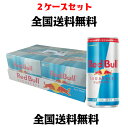 レッドブル シュガーフリー 185ml×24本×2ケース 全国送料無料(沖縄、離島は要別途送料)