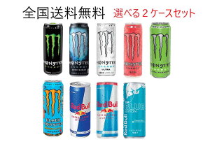 レッドブル　モンスターエナジー　1ケース24本　選べる2セット商品　全国送料無料