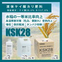 koei-chem:10000003のサンプル画像2