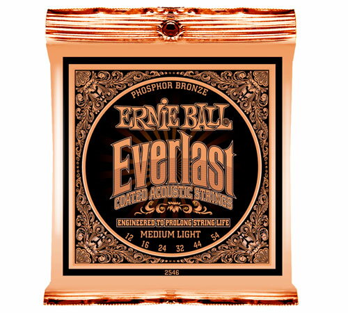ERNIE BALL #2546 Everlast Coated Phosphor Bronze Acoustic Medium Light アコースティックギター弦【送料無料】【定形外郵便発送】