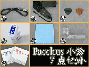 Bacchus エレキギター用 小物7点セット(アンプ無し)【送料無料】