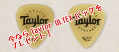 TaylorAcademy10【送料無料】【TaylorULTEXピックをプレゼント!】