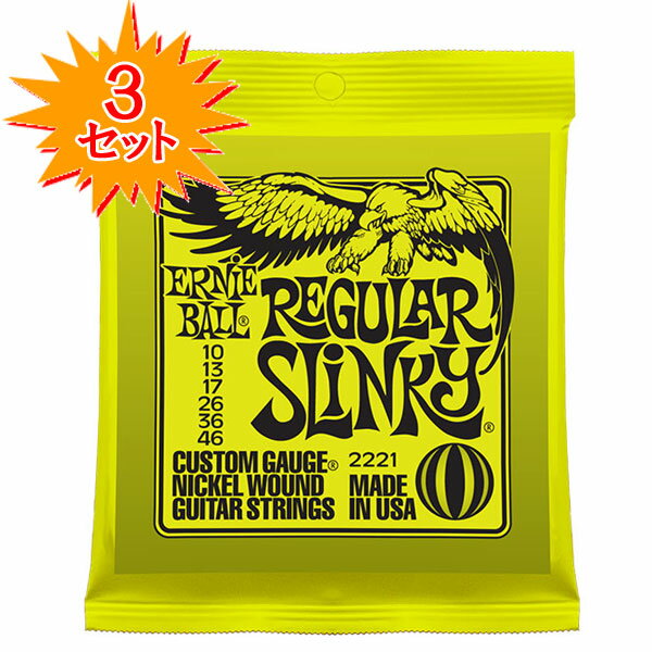 【3セット特価！】ERNIE BALL 2221 Regular